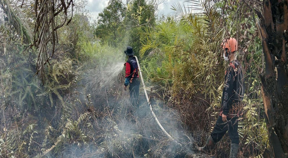 BPBD Catat 65 Karhutla di Kotim, 143,99 Hektare Lahan Terbakar, Mentawa Baru Ketapang Terparah