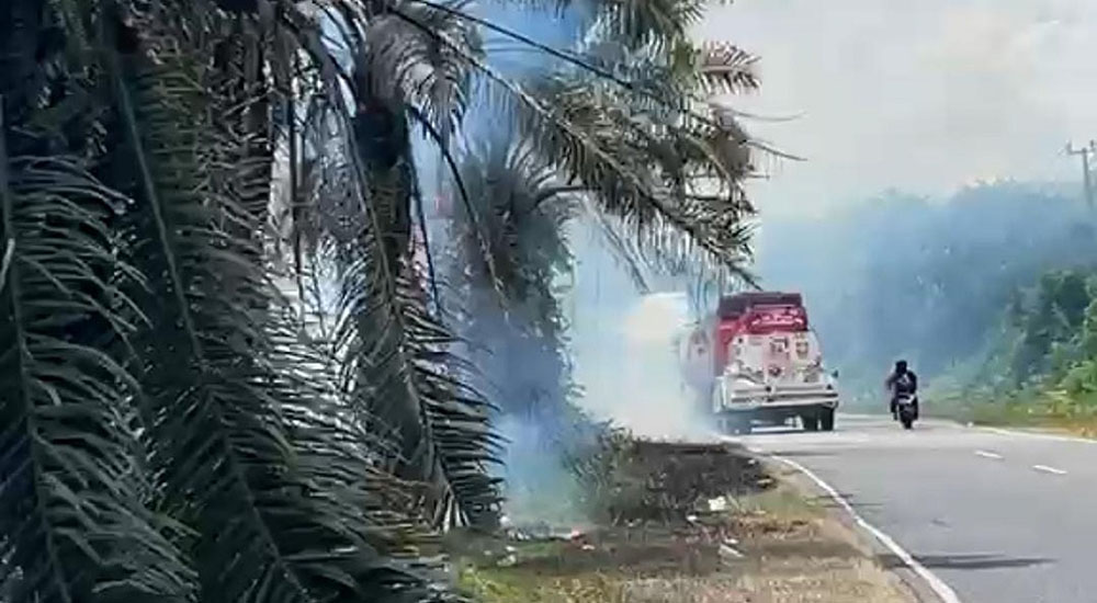 Asap Pekat dan Api Bakar Lahan Jalur Sampit–Kota Besi, Suasana Sempat Mencekam
