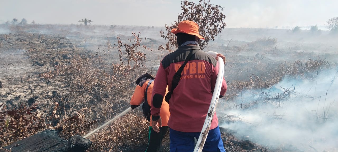 Hotspot Riau Turun Jadi 74 Titik, Kampar dan Pelalawan Terbanyak
