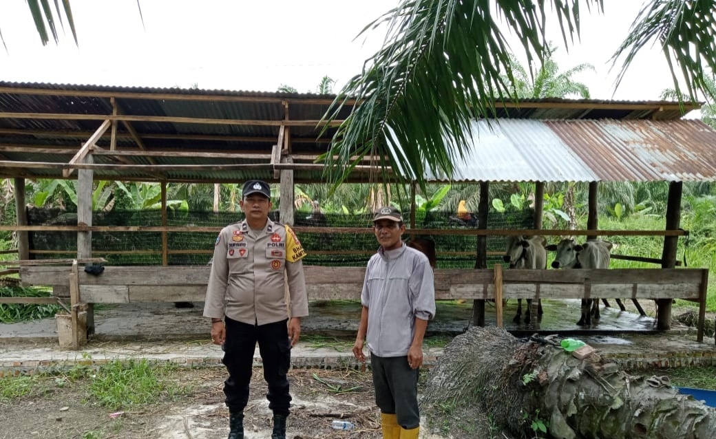 Dukung Ketahanan Pangan, Polisi di Bangko Pusako Sambangi Peternak Sapi Warga