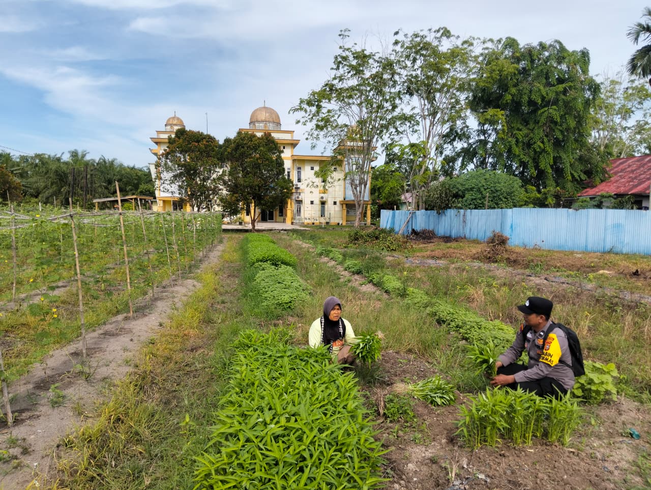 Polisi dan Petani di Rohil Bersinergi Wujudkan Ketahanan Pangan 
