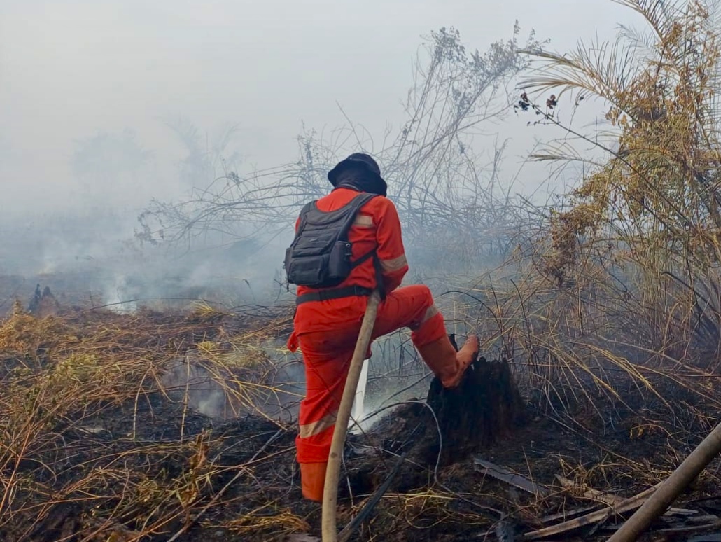 Karhutla di Indragiri Hulu Belum Padam, Manggala Agni Tambah Kekuatan