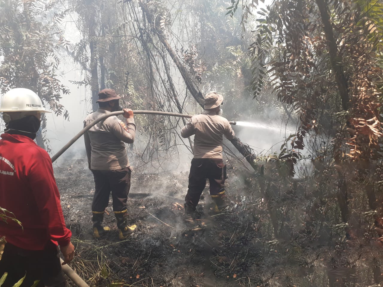 Perkuat Penanganan Karhutla, PTPN IV PalmCo Siagakan 660 Personel di Riau