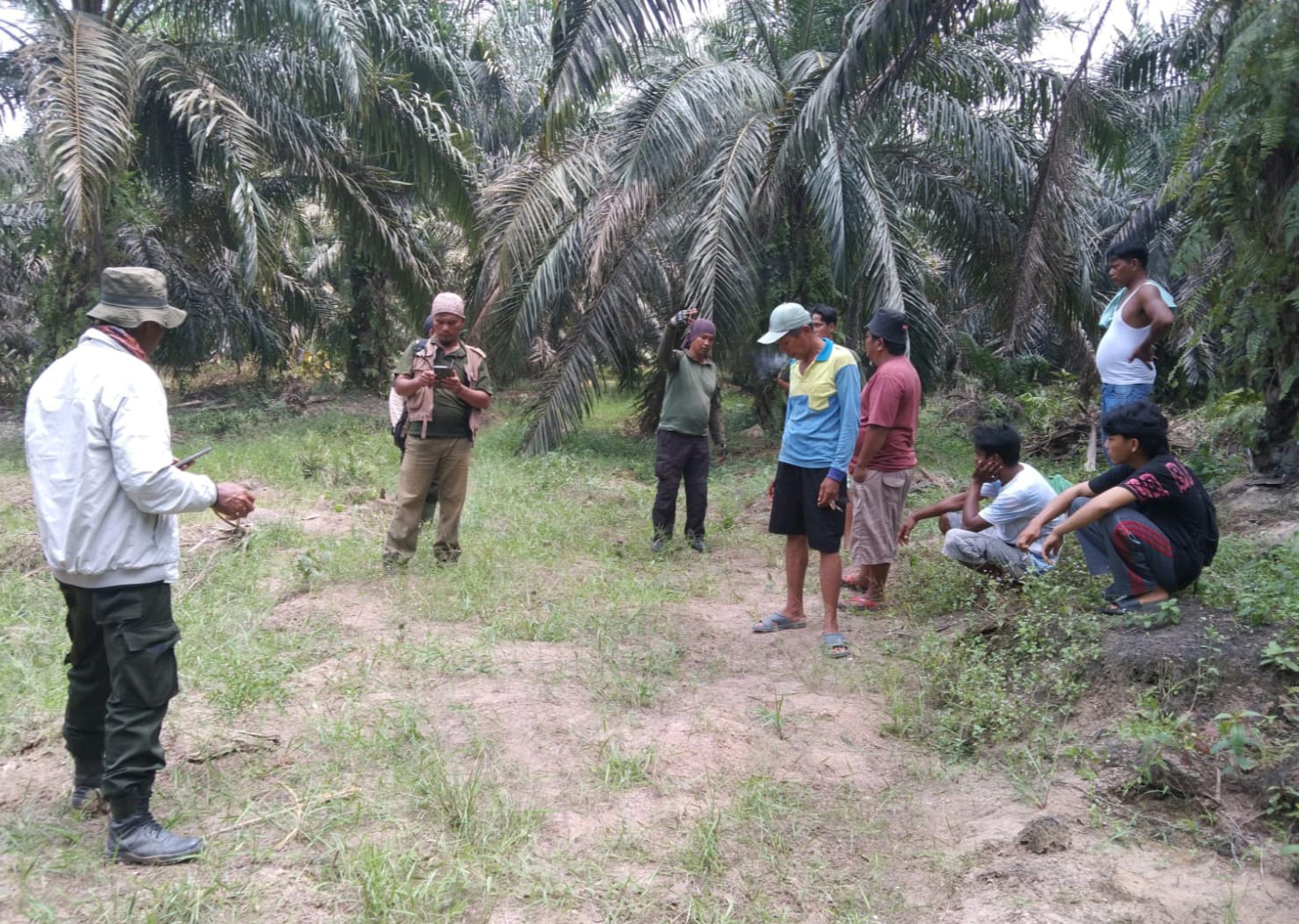 Konflik Gajah Liar di SM PLG Sebanga, Satu Warga Meninggal