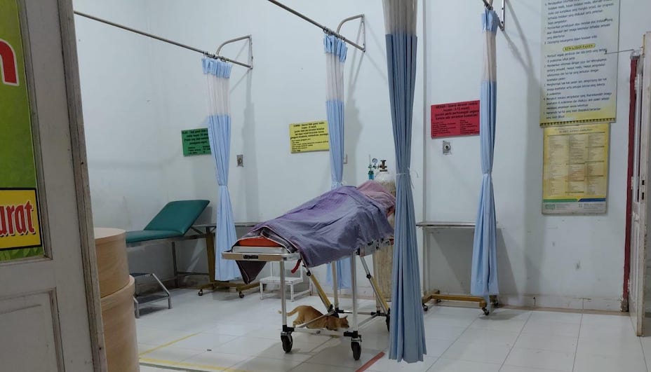 Seorang Petani Ditemukan Tak Bernyawa di Kebun Sawit Kuansing