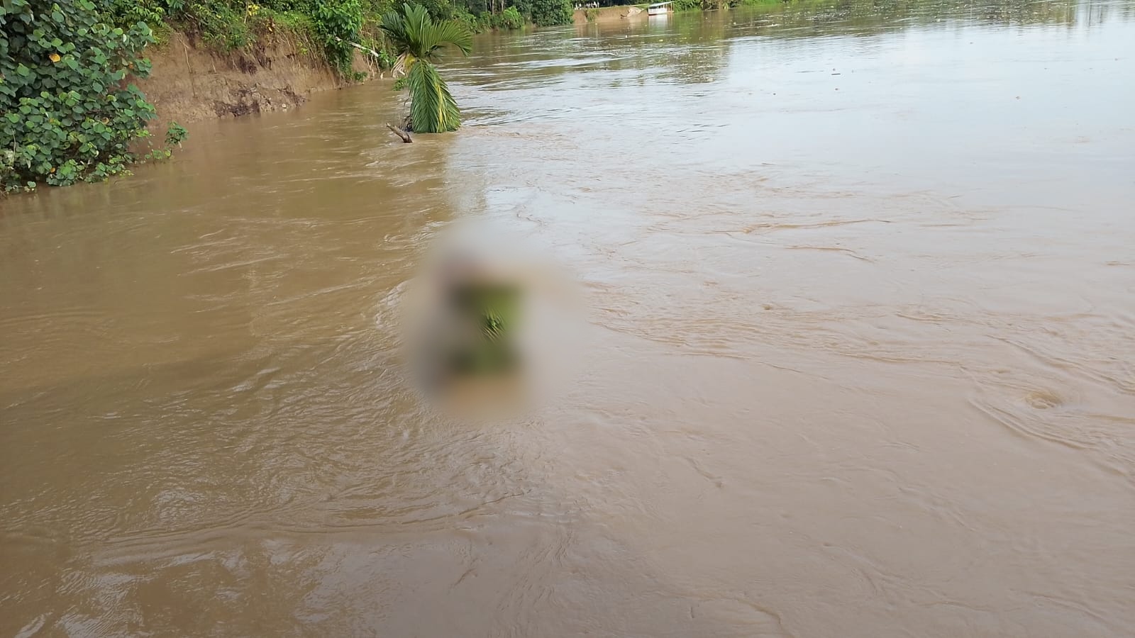 Warga Kuansing Temukan Mayat Mengapung di Sungai Kuantan