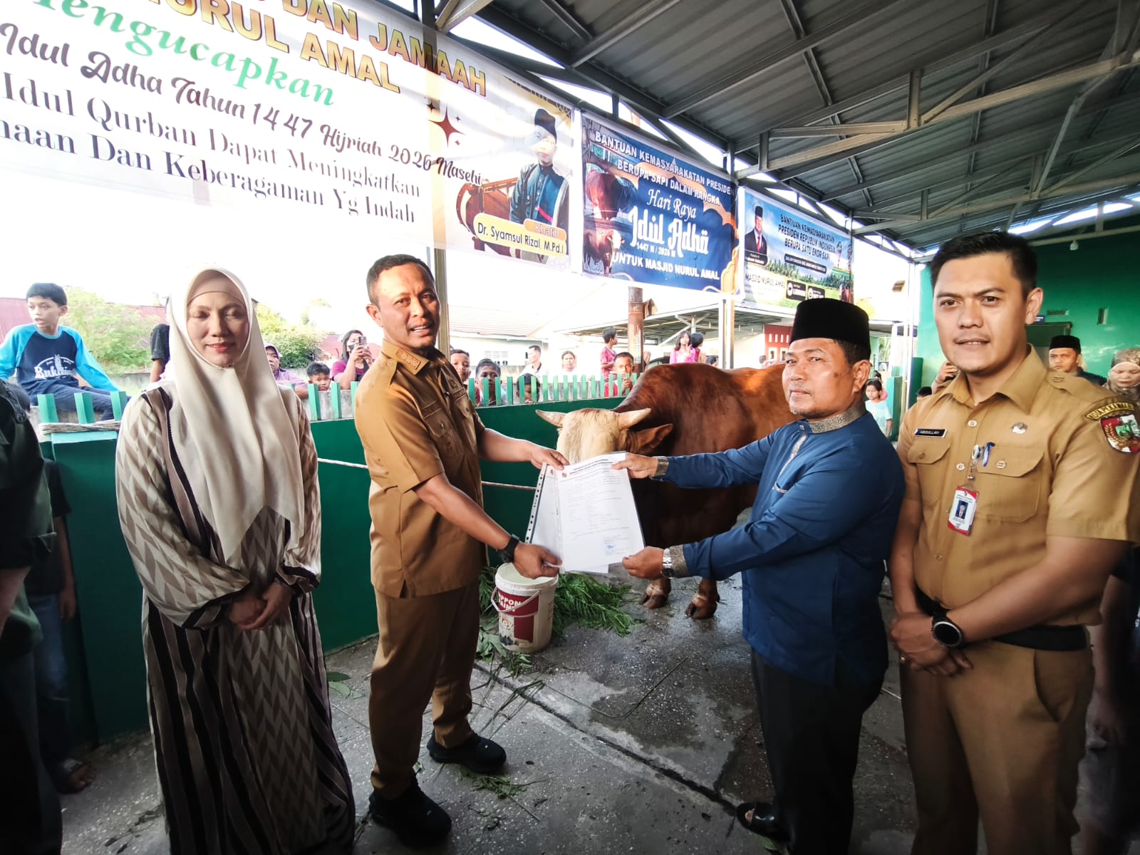 Berbobot 907 Kilogram, Wako Pekanbaru Serahkan Sapi Kurban Bantuan Presiden RI ke Warga Tirta Siak
