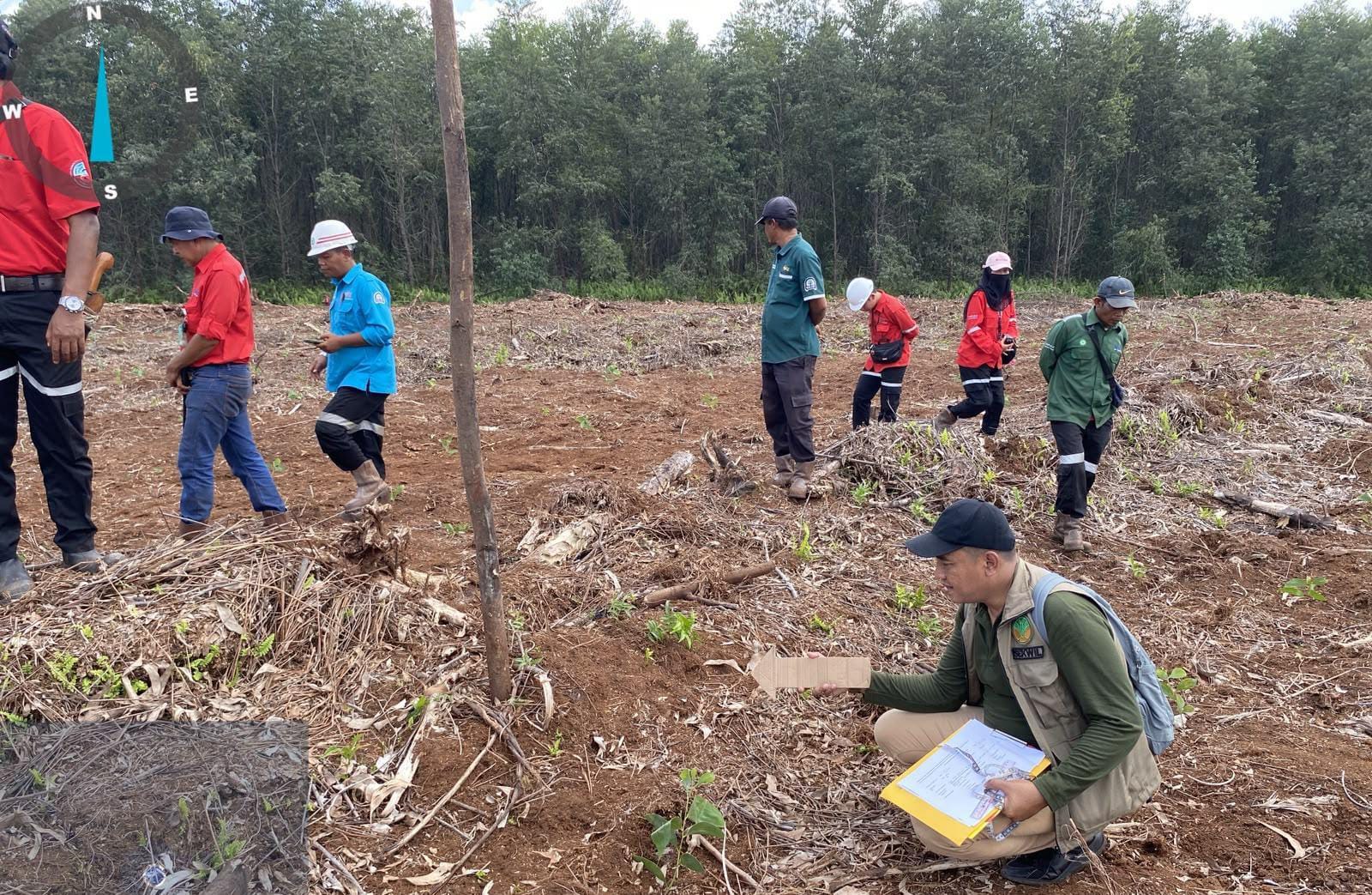 Bocah di Pelalawan Tewas Diduga Diterkam Harimau, Ini Penjelasan BBKSDA Riau