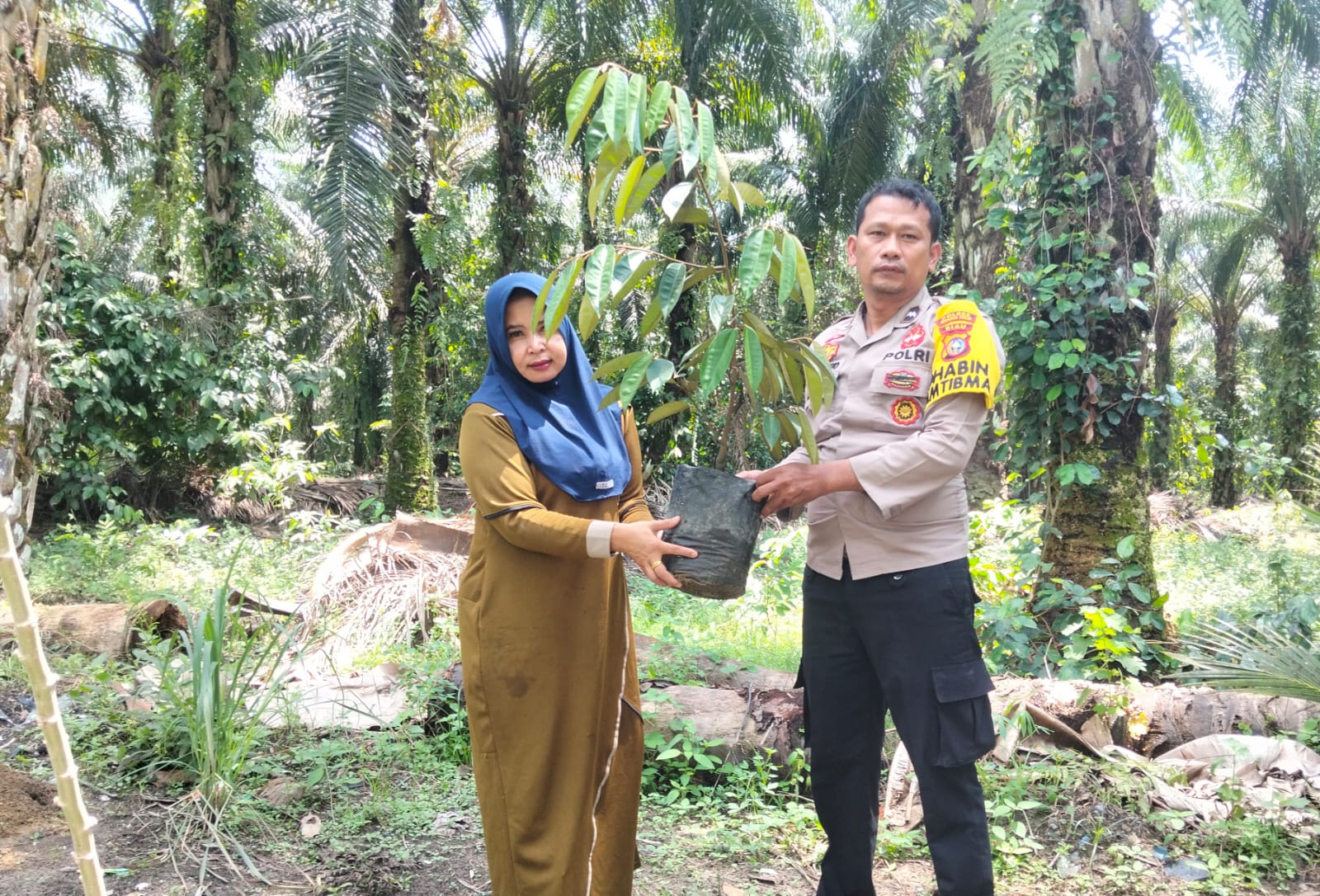 Bhabinkamtibmas Tanam Durian di Sungai Manasib, Program Kapolda Riau Disosialisasikan