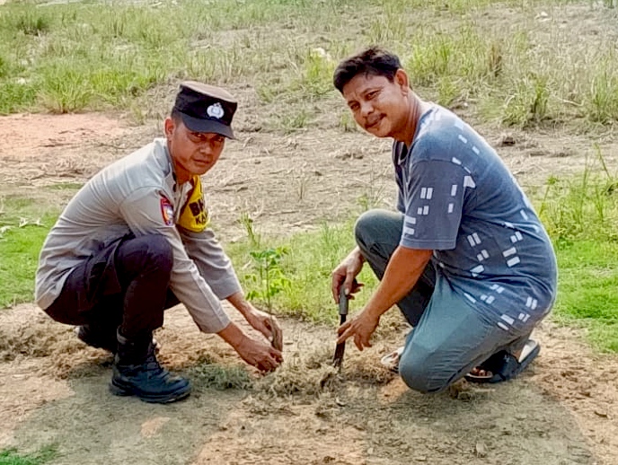 Green Policing Bergerak ke Permukiman, Polsek Rimba Melintang Tanam Bibit Mangga Bersama Warga