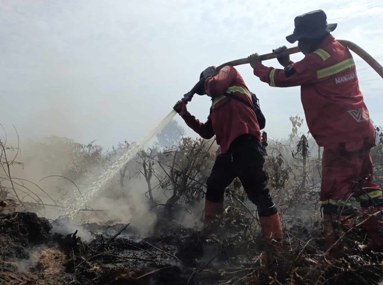 Karhutla Hanguskan 70 Hektare Lahan di Rokan Hilir, Titik Api Baru Muncul di Bangko