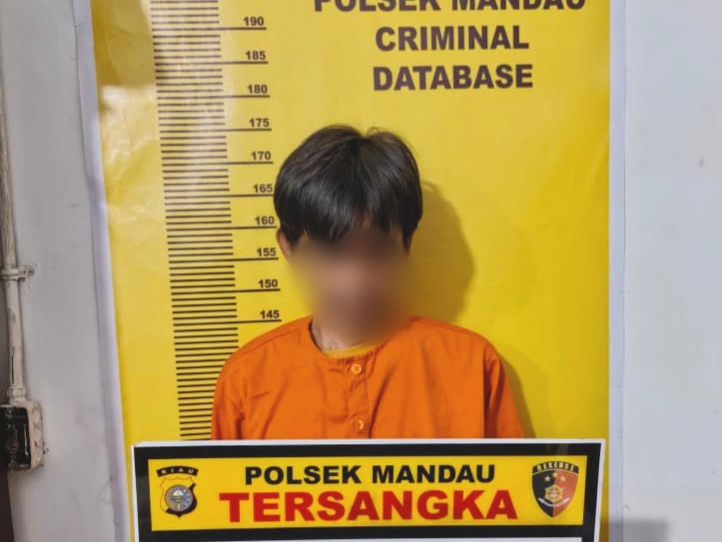 Pelaku Penipuan Modus Lowongan Kerja di Mandau Ditangkap Polisi