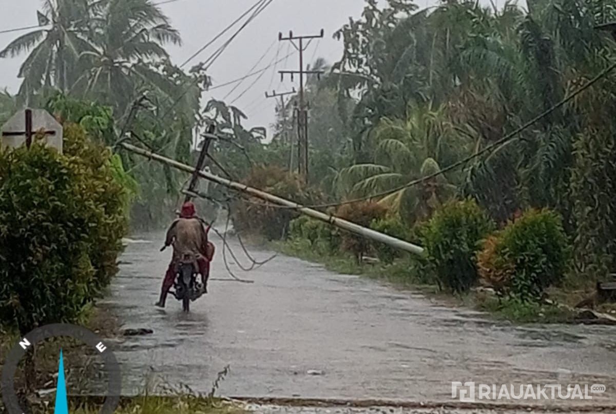 Tak Hanya Hancurkan Sekolah, Puting Beliung Juga Tumbangkan Tiang Listrik di Bengkalis