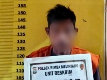 Diduga Setubuhi Bocah, Pria di Rohil Diamankan Polisi