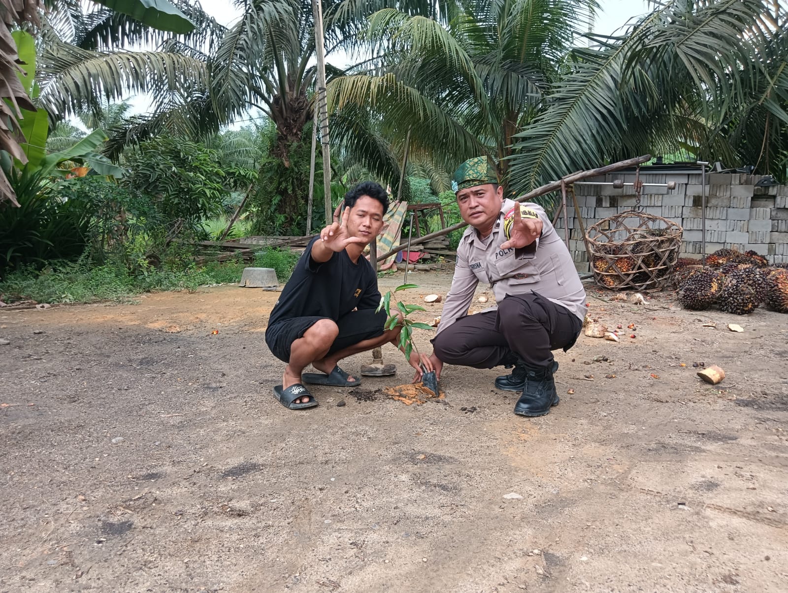 Green Policing Polsek Rimba Melintang Tanam 20 Pohon Rambutan di Pematang Botam