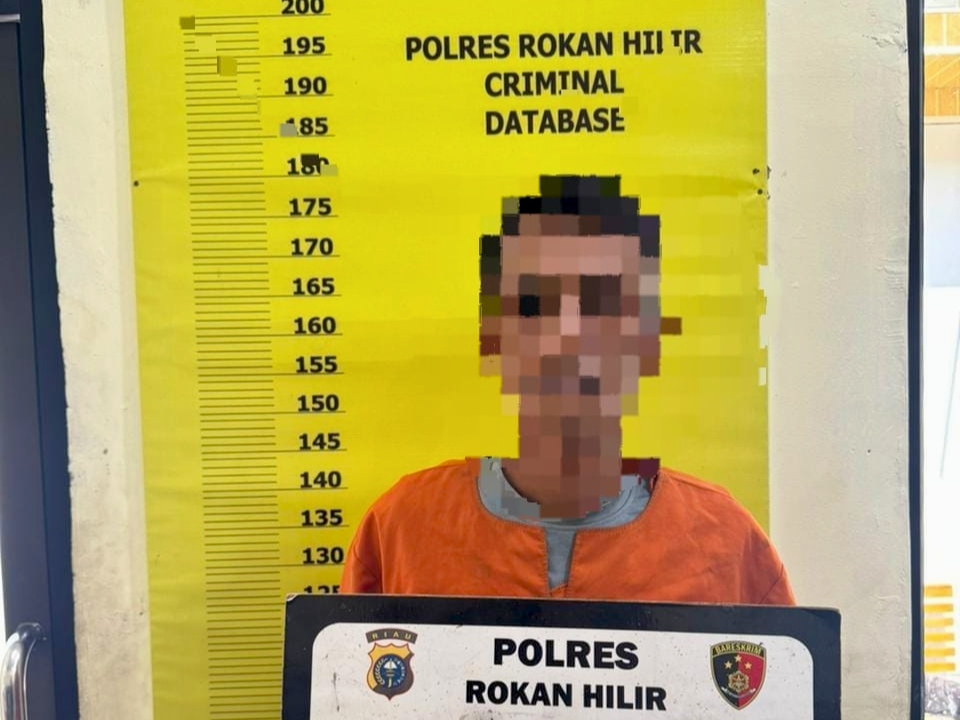 Diduga Puntung Rokok Picu Karhutla 30 Hektare di Rohil, Satu Orang Diamankan