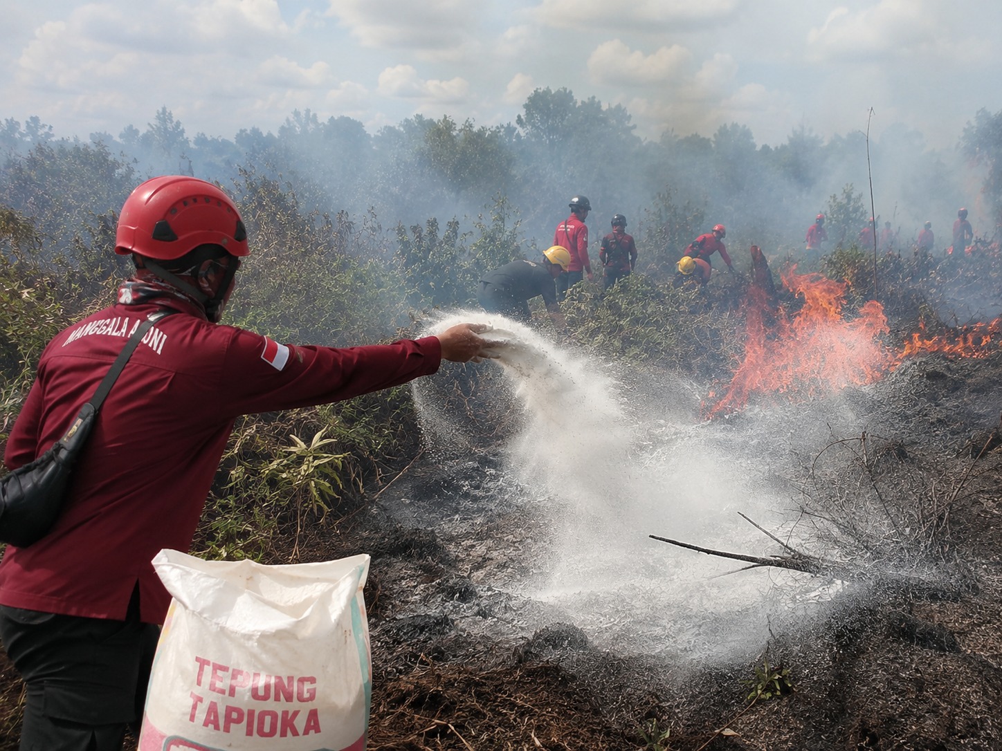 Benarkah Tepung Ubi Bisa Padamkan Api? Penelitian Asing Ungkap Fakta Mengejutkan