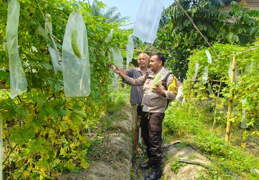 Bhabinkamtibmas Polsek Rengat Barat Pantau Program Pangan Bergizi di Lima Desa