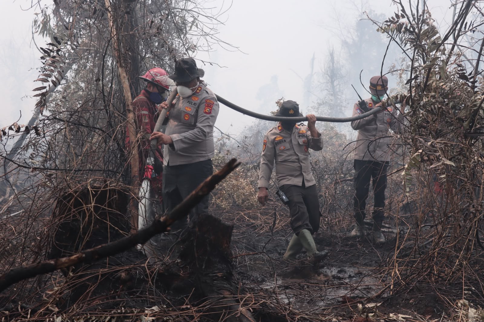 13 Hektare Lahan di Rimbo Panjang Kampar Terbakar, Api Belum Padam