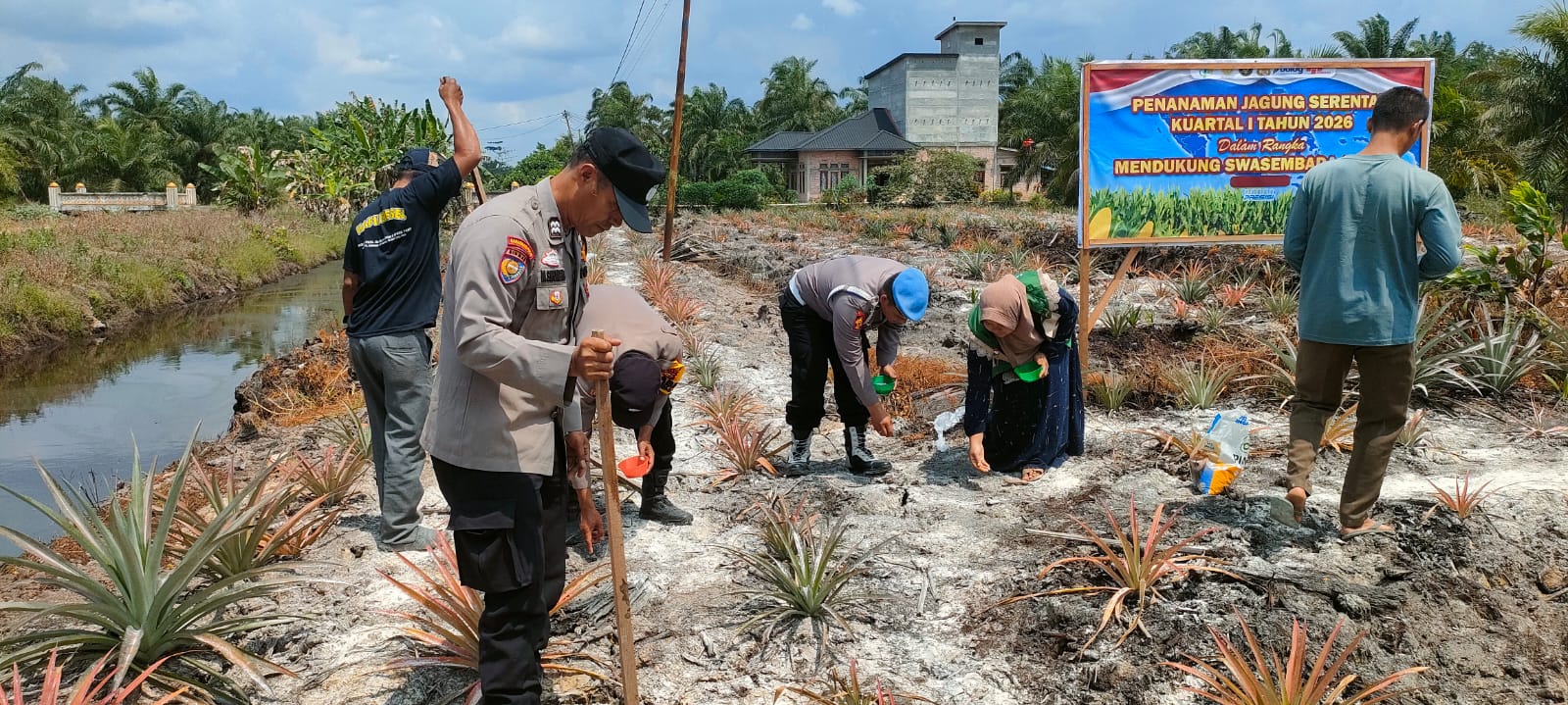 Polisi Cinta Petani, Bhabinkamtibmas di Bangko Pusako Ikut Tanam Jagung Pipil