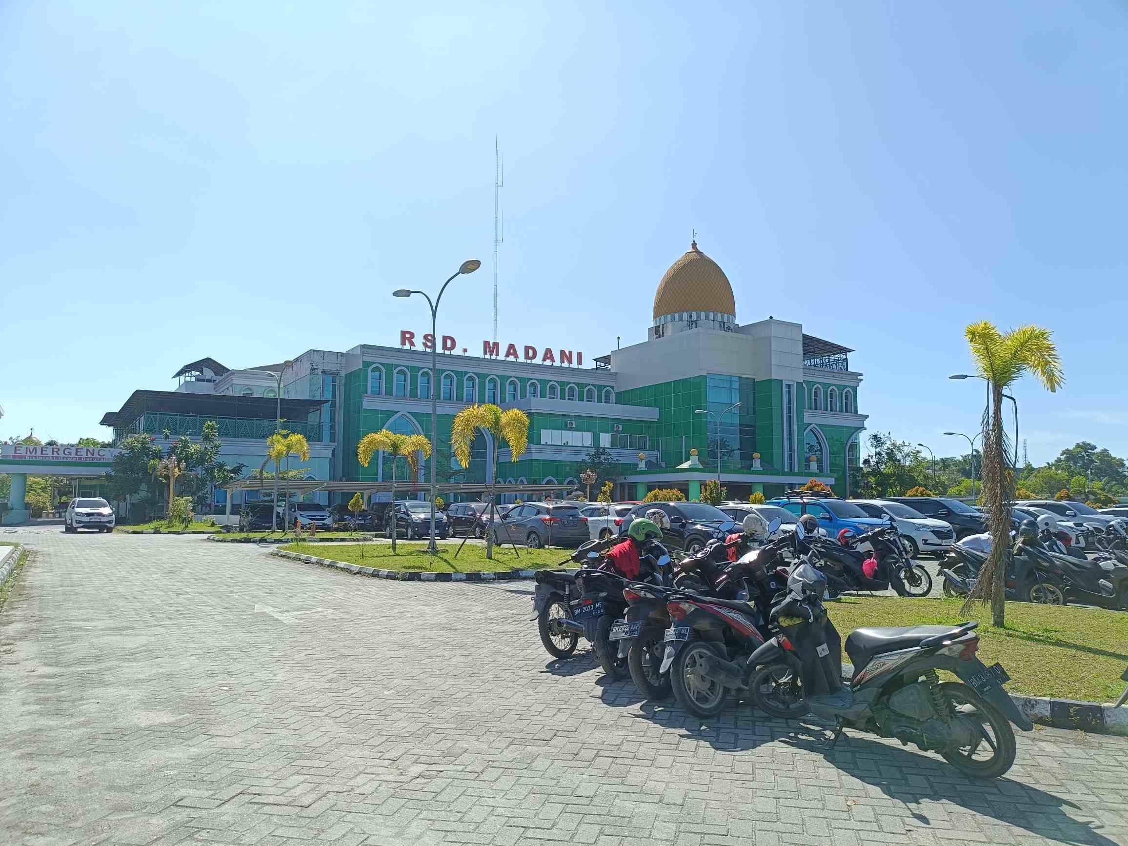 Didominasi Balita dan Lansia, Diskes Pekanbaru Catat 6.622 Warga Sakit Imbas Kabut Asap