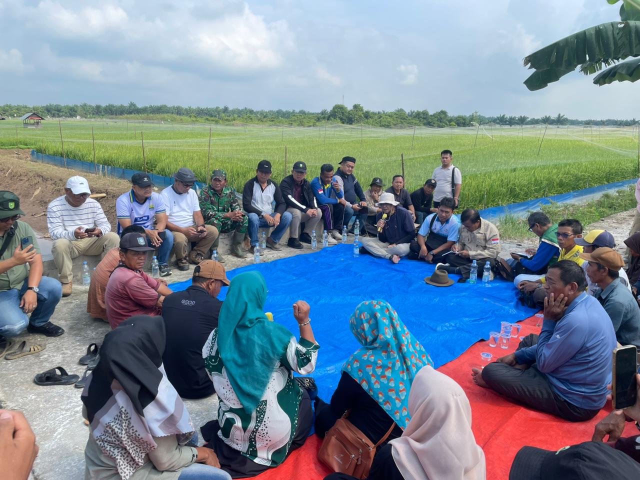 Wabup Inhu Tinjau Sawah di Teluk Sungkai, Tegaskan Larangan Alih Fungsi Lahan Pertanian