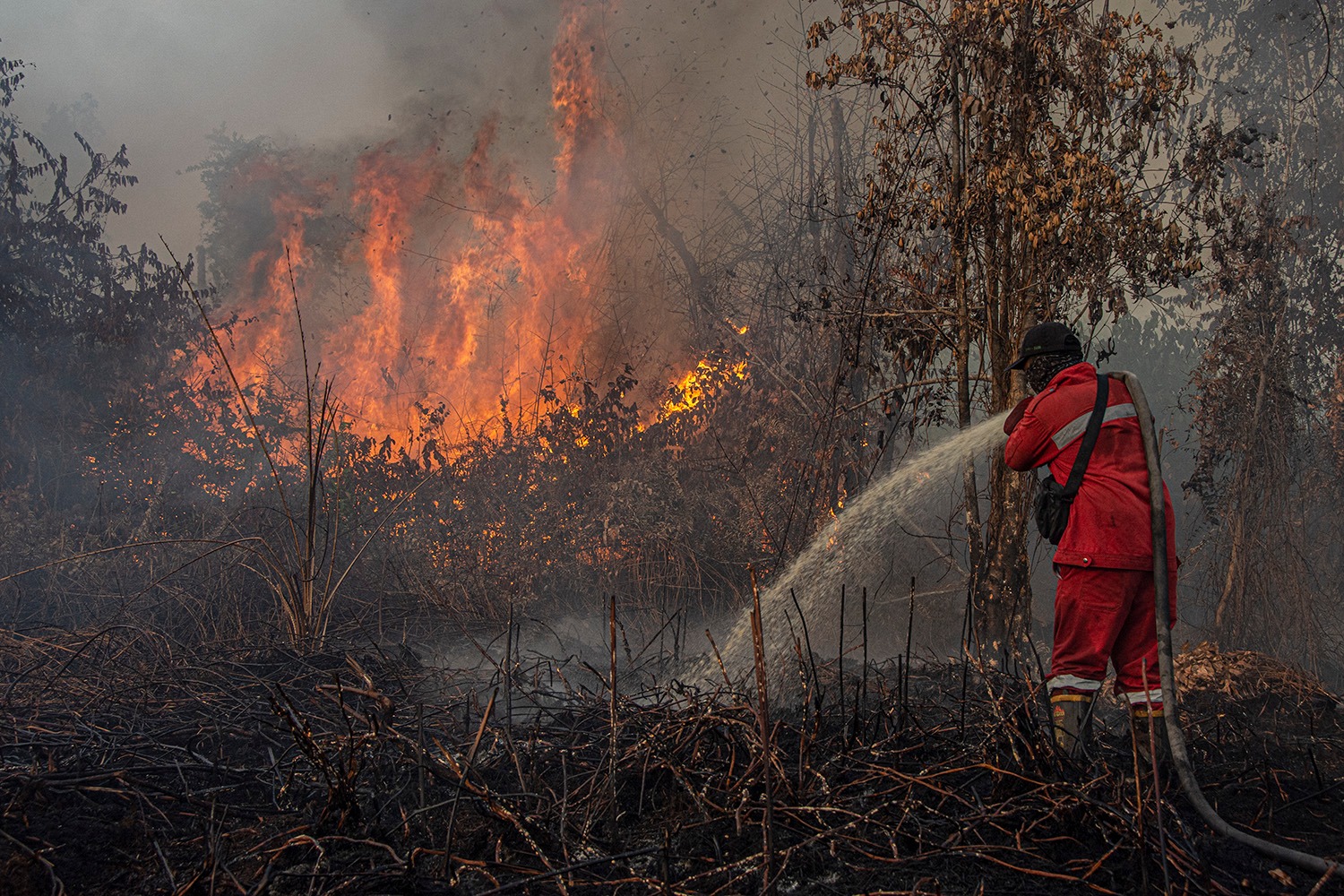 45 Titik Panas Terdeteksi di Riau, Inhil dan Inhu Masih Mendominasi