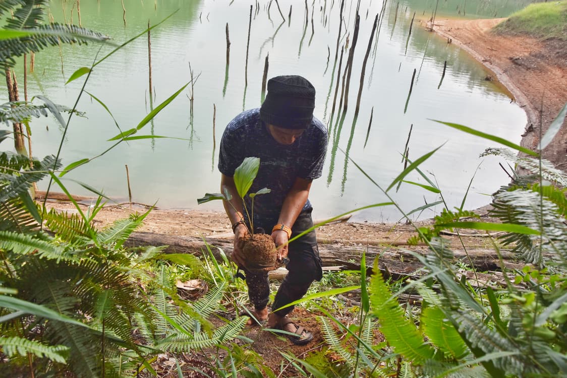 Biodiversity Safeguard Perkuat Perlindungan Ekosistem PLTA Koto Panjang