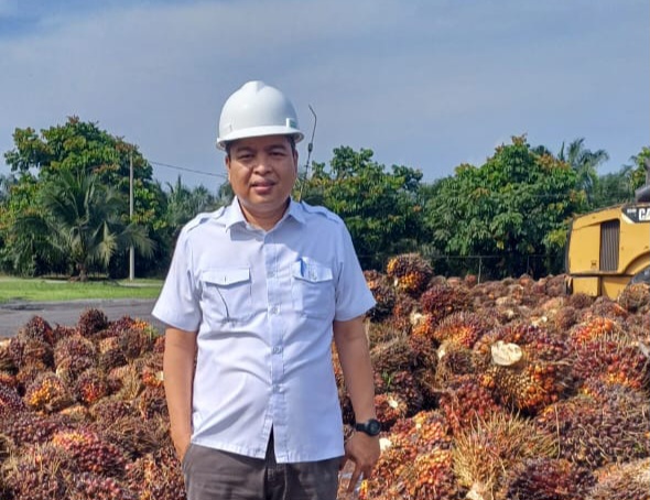 Indeks K Sawit Riau Terbaru: Plasma Turun, Swadaya Naik, Ini Penyebabnya