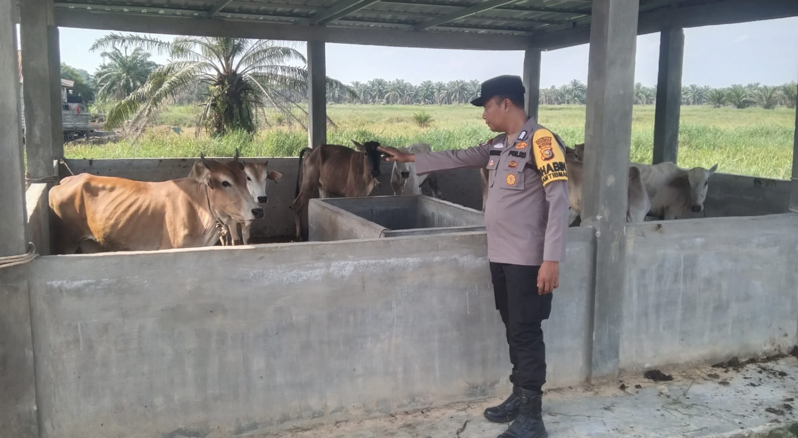 Polisi di Rohil Dampingi Program Ketahanan Pangan Keluarga Bergizi di Bangko Pusako