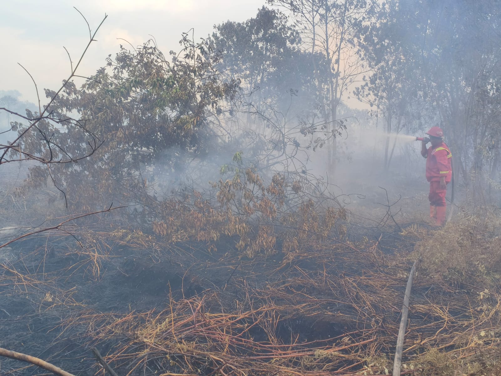 Karhutla Bengkalis Belum Terkendali, 80 Hektare Lahan Hangus Terbakar