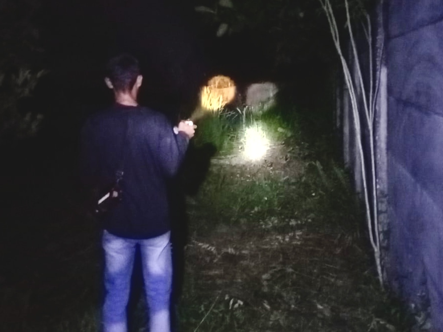 Kawanan Gajah Liar Muncul Dekat Permukiman Warga Rumbai, BBKSDA Riau Lakukan Mitigasi