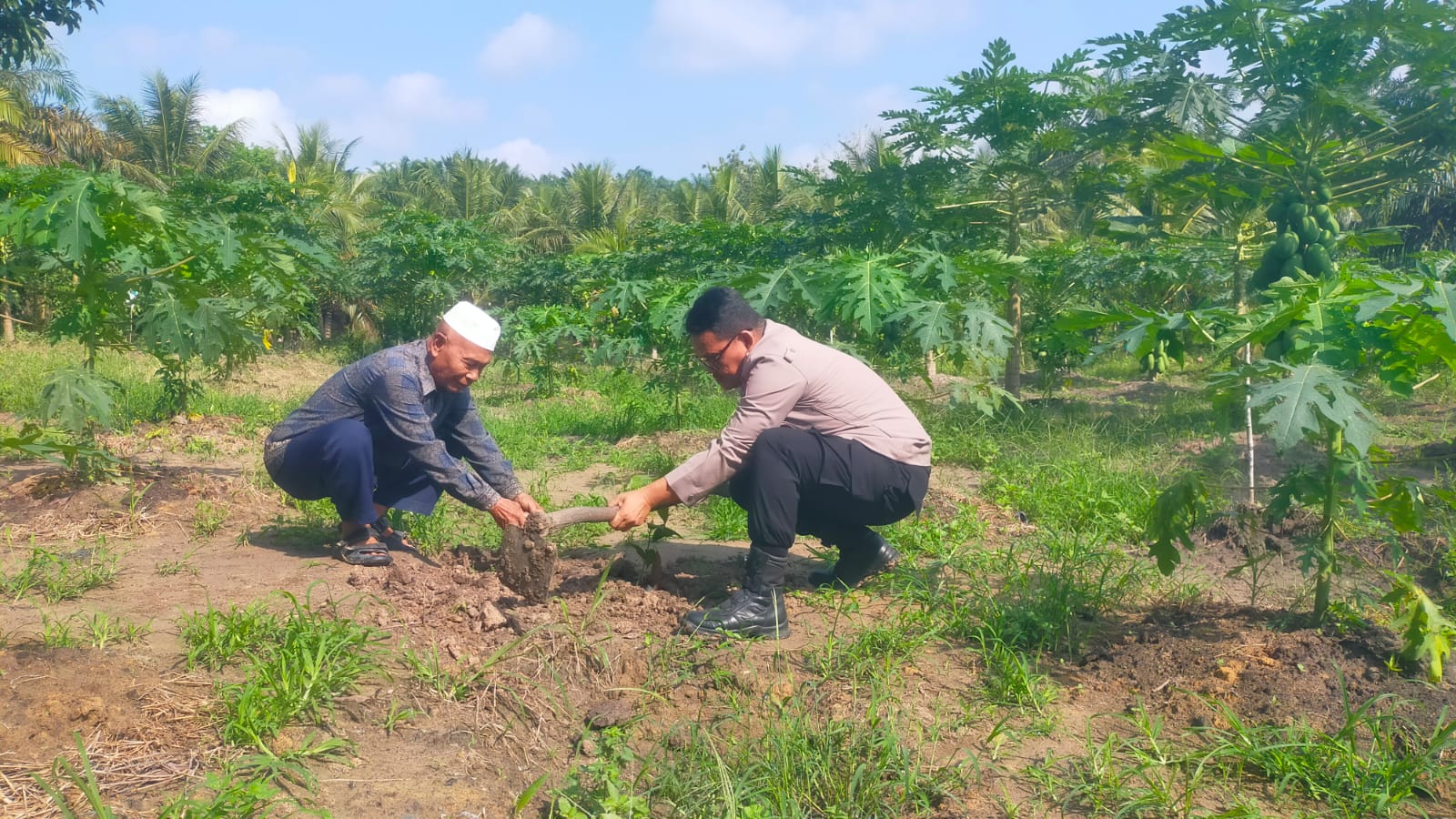 Polisi Tanam Pohon di Rohil, Gaungkan Program Green Policing Kapolda Riau