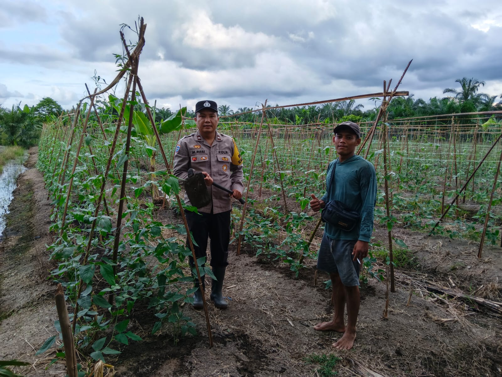 Polisi Cinta Petani Jadi Motor Ketahanan Pangan di Bangko Pusako