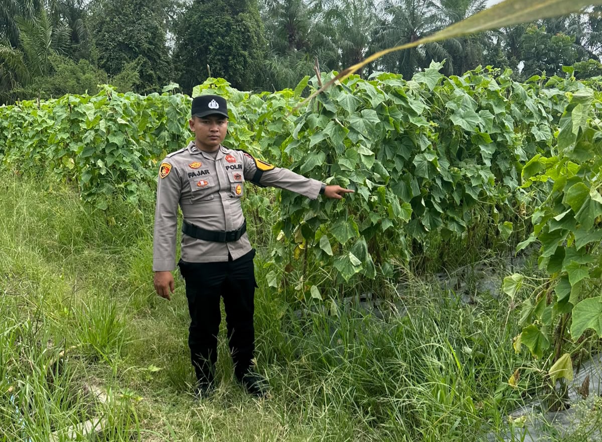 Polisi di Rohil Dukung Petani Wujudkan Swasembada Pangan