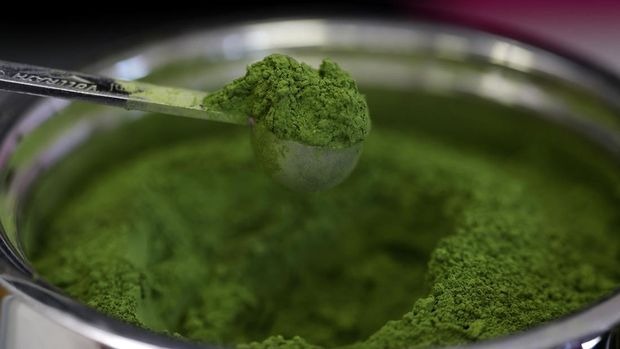 Jadi Alternatif Kopi, Apakah Matcha Mengandung Kafein?