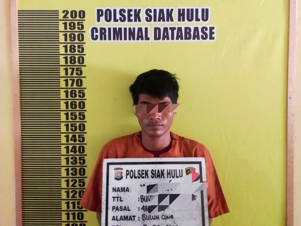 Modus Pinjam Motor, Pria di Siak Hulu Ditangkap Polisi