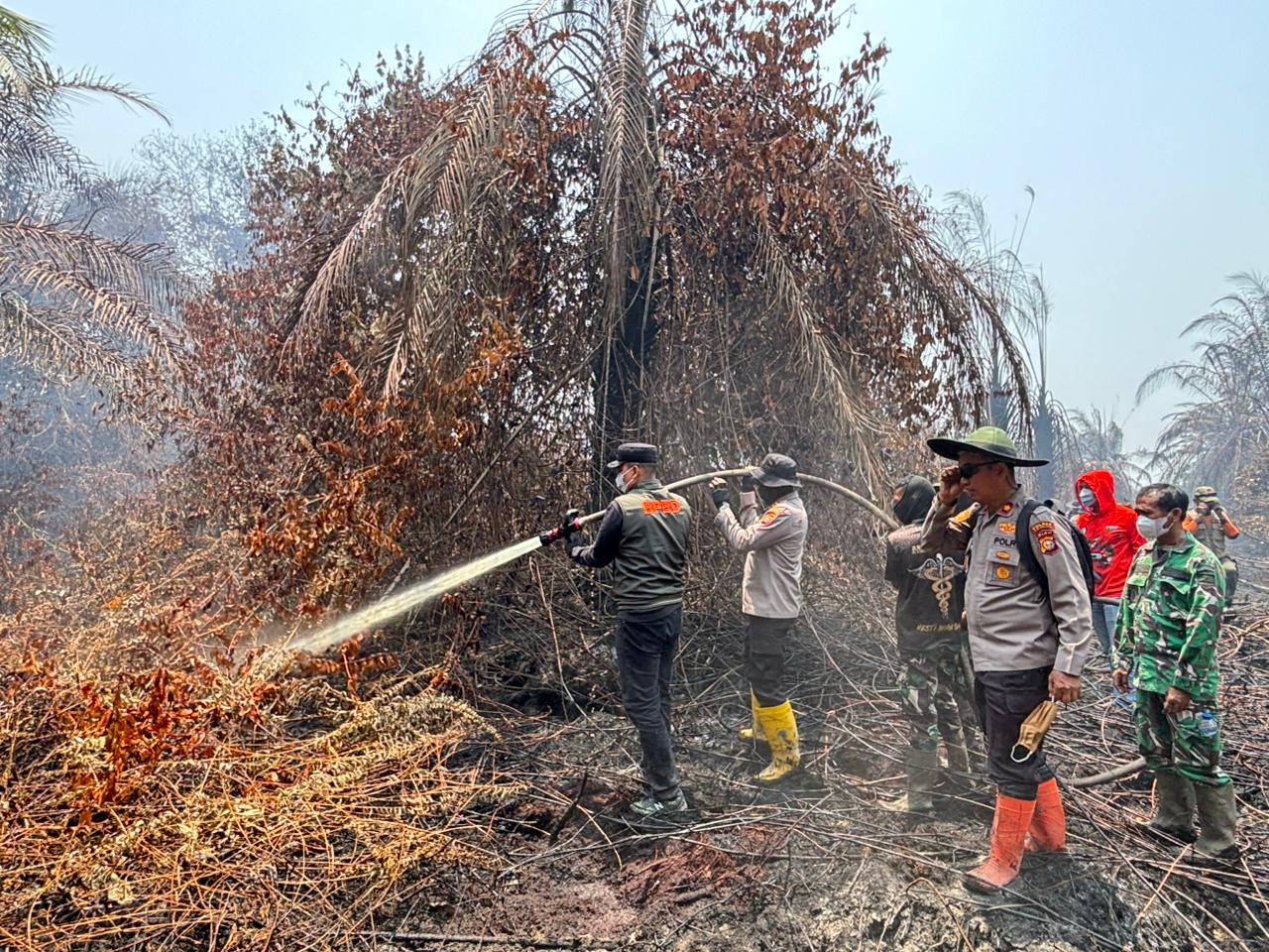 Bupati dan Kapolres Inhu Turun Padamkan Karhutla, 4 Titik Api Terdeteksi