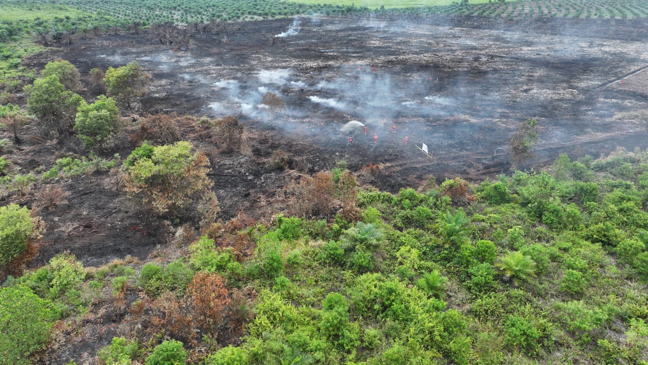 Karhutla di Rokan Hilir Padam, Asap Masih Muncul dari Lahan Gambut