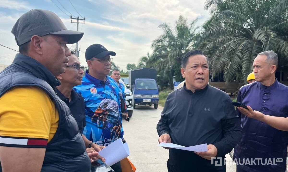 Plt Gubri Tinjau Perbaikan Ruas Jalan Lipat Kain-Lubuk Agung