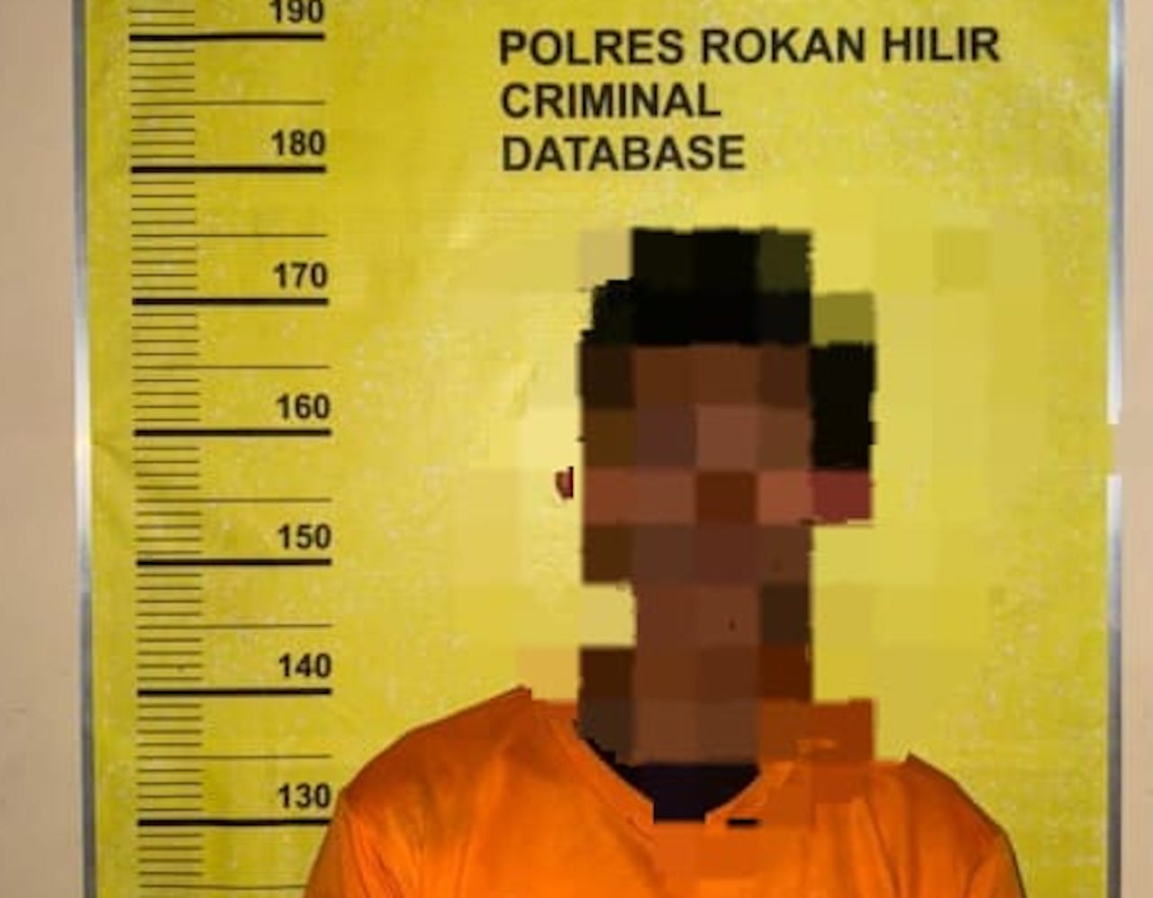 Aniaya IRT dan Gasak Rp3 Juta, Pria di Rohil Ditangkap Polisi
