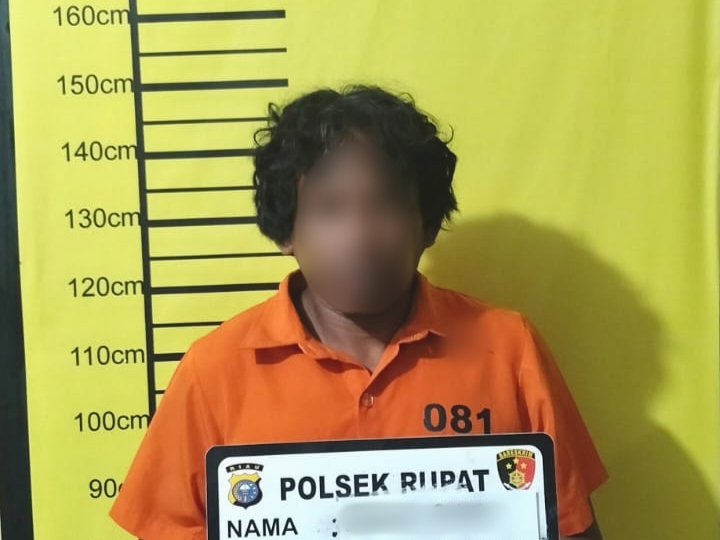 Ninja Sawit Ditangkap Polisi di Rupat, Curi 158 Tandan Sawit dan Positif Sabu