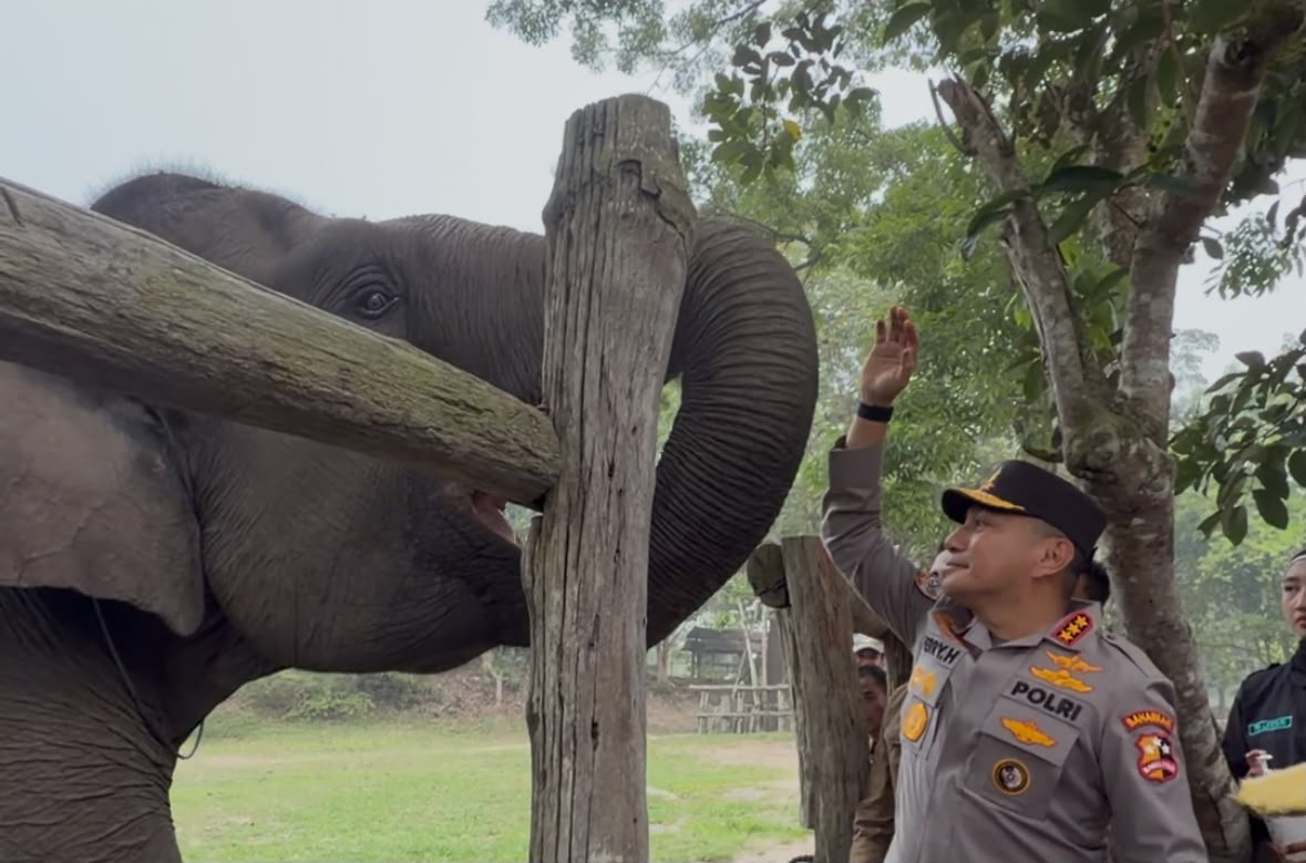 Komjen Herry Heryawan Titip Harapan untuk Gajah Sumatera Sebelum Tinggalkan Riau