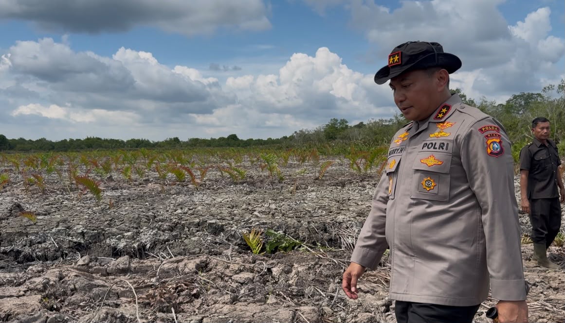 Mangrove di Rohil Rusak, Kapolda Riau: Merusaknya Juga Merusak Kehidupan