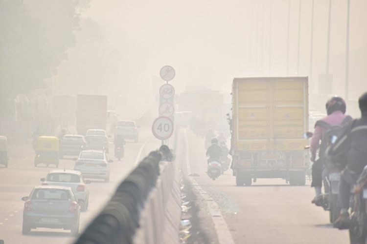 Jaga Tubuh Tetap Sehat, Ini Tips yang Bisa Cegah Dampak Asap Karhutla