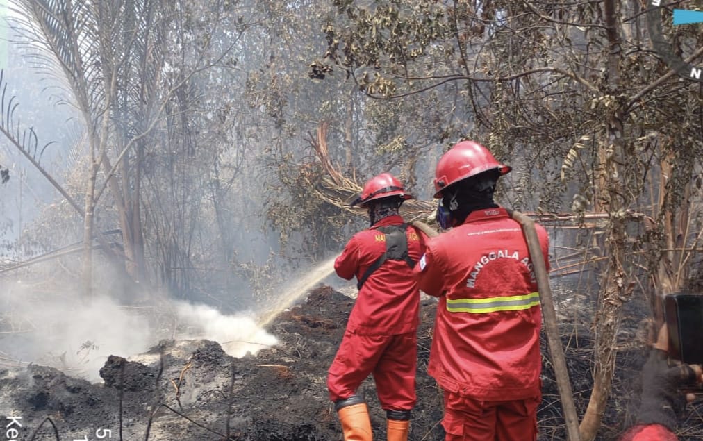 Karhutla di Bantan Bengkalis Meluas, 235 Hektare Lahan Terbakar