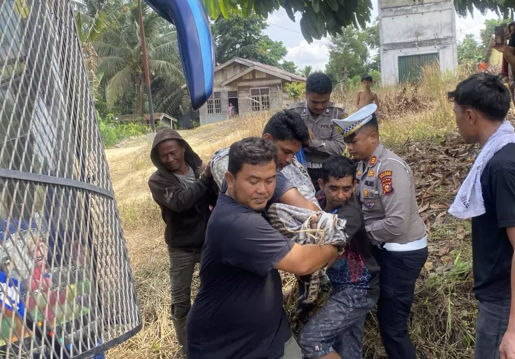  Ini Kronologi Tabrakan Bus PMH dengan Truk di Pelalawan