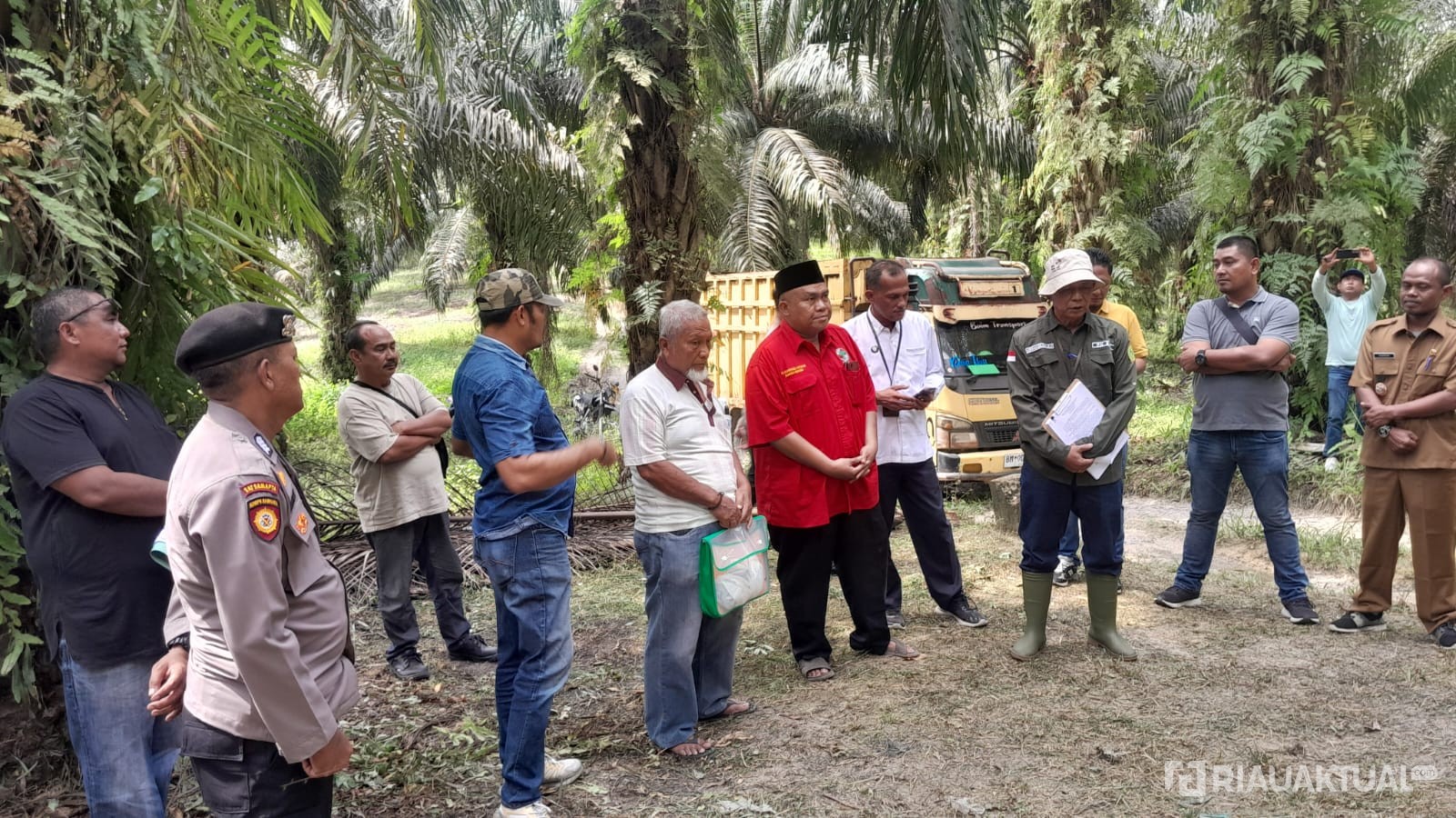 Panen Sawit di Kebun Sendiri, Warga Siak Malah Dilaporkan Mencuri