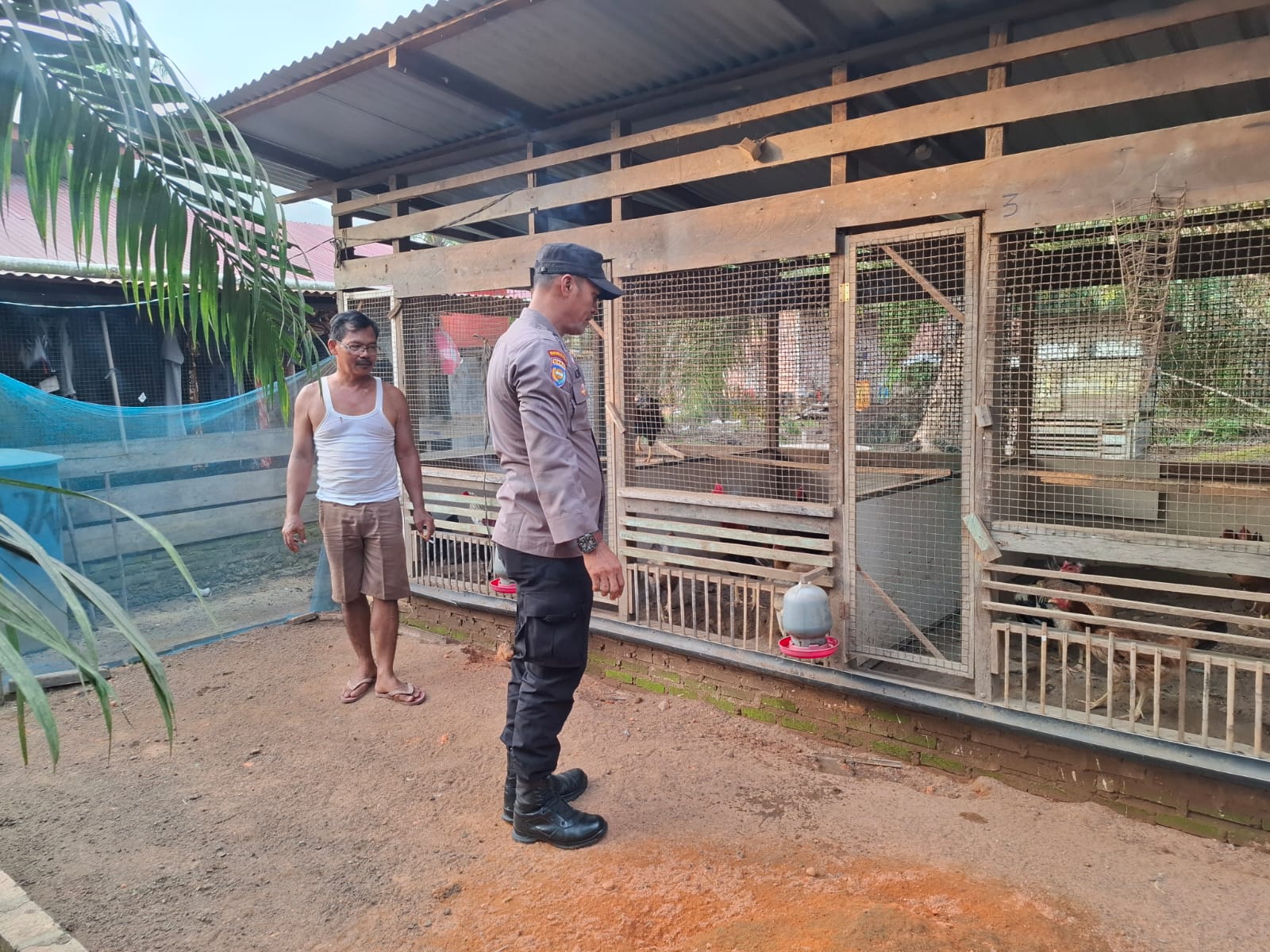 Sambangi Peternak Ayam, Polisi Cinta Petani Dorong Swasembada Pangan di Rohil