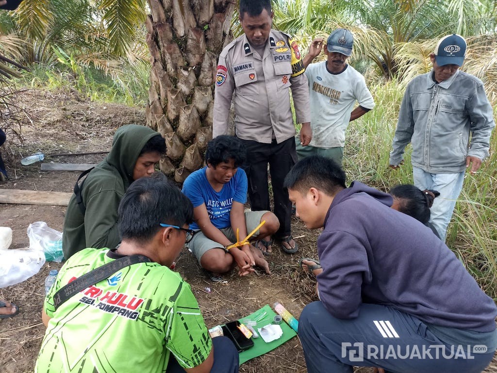 Polsek Batang Cenaku Ungkap Kasus Narkoba di Pedalaman, Satu Pelaku Diamankan